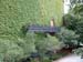 boston_scenic (12)