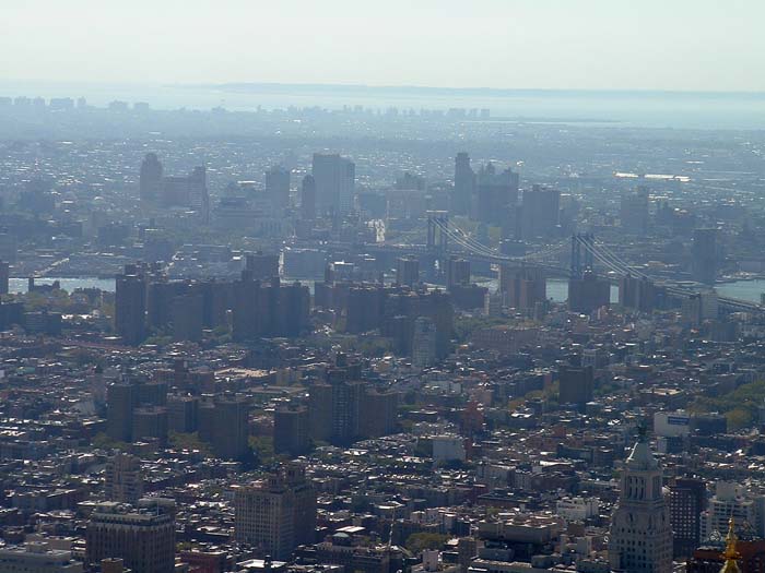 new_york (35)