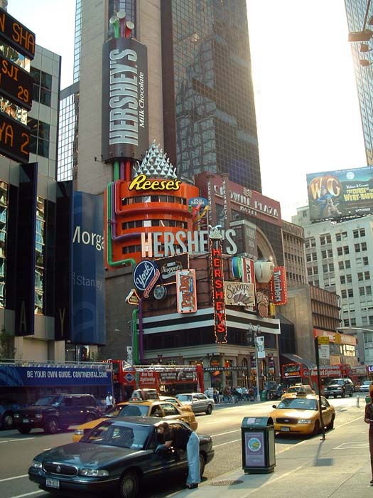 new_york (38)