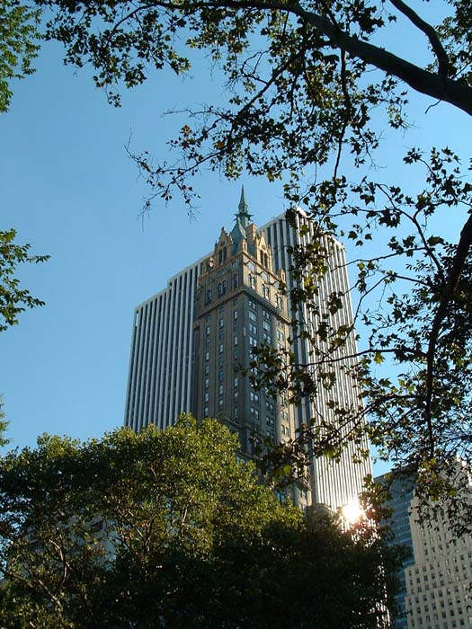 new_york (40)