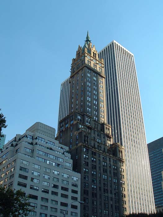 new_york (41)