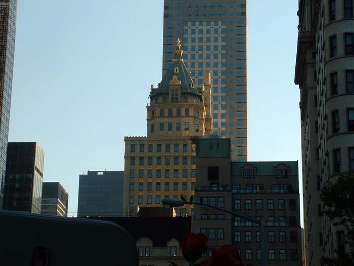 new_york (43)