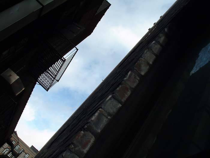 new_york (8)