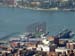 new_york (26)
