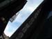 new_york (8)
