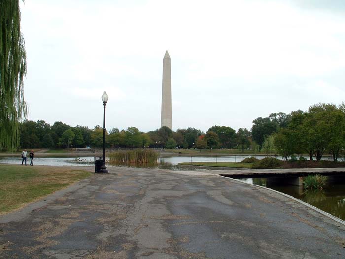 washington_dc_scenic (3)