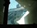 toronto_scenic (27)