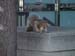 toronto_scenic (33)