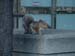 toronto_scenic (35)