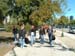 chicago_scenic (1)