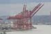 seatle_scenic (5)