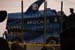 san_jose_the_hockey (4)