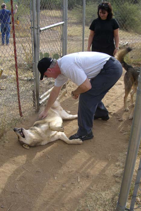 phoenix_alies_sanctuary (46)