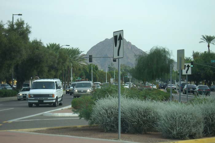 phoenix_alies_sanctuary (8)