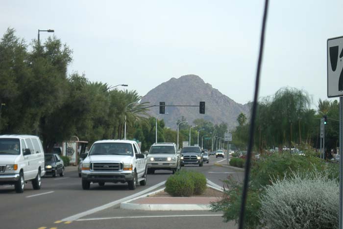 phoenix_alies_sanctuary (9)
