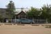 phoenix_alies_sanctuary (14)