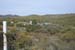 phoenix_alies_sanctuary (15)