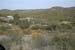 phoenix_alies_sanctuary (18)