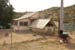 phoenix_alies_sanctuary (20)