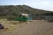 phoenix_alies_sanctuary (21)
