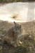 phoenix_alies_sanctuary (32)