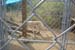 phoenix_alies_sanctuary (33)