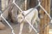 phoenix_alies_sanctuary (36)