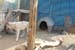phoenix_alies_sanctuary (39)
