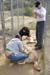 phoenix_alies_sanctuary (48)