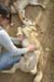 phoenix_alies_sanctuary (49)