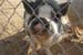 phoenix_alies_sanctuary (55)