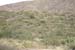 phoenix_alies_sanctuary (63)