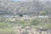 phoenix_alies_sanctuary (64)