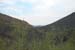 phoenix_alies_sanctuary (66)