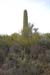 phoenix_alies_sanctuary (69)