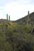 phoenix_alies_sanctuary (70)