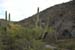 phoenix_alies_sanctuary (71)