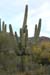 phoenix_alies_sanctuary (72)
