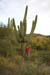 phoenix_alies_sanctuary (73)