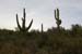 phoenix_alies_sanctuary (76)