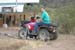 phoenix_alies_sanctuary (79)