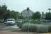 phoenix_alies_sanctuary (8)