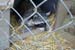 phoenix_alies_sanctuary (83)