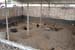 phoenix_alies_sanctuary (86)