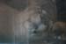 las_vegas_scenic (25)