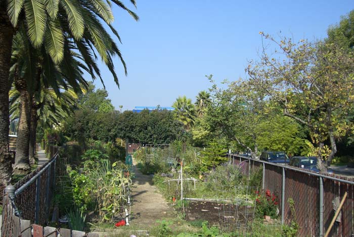 los_angeles_scenic (2)